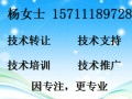 賴氨酸 生產(chǎn)、應(yīng)用與市場前景探析