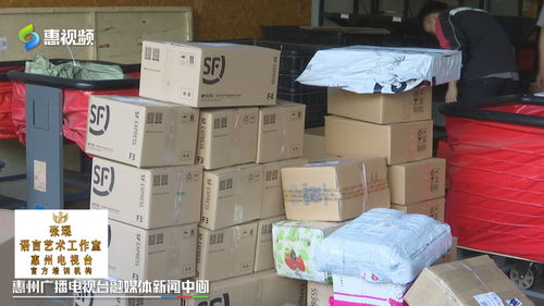 雙十一惠州網友熱衷“血拼”食品，快遞公司迎來攬件高峰
