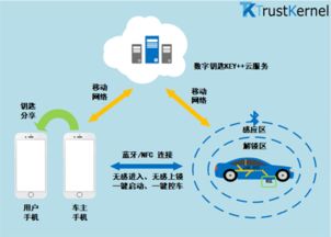 特斯拉引領數字鑰匙革命 智能出行的未來與上海信息服務的燃眉之急